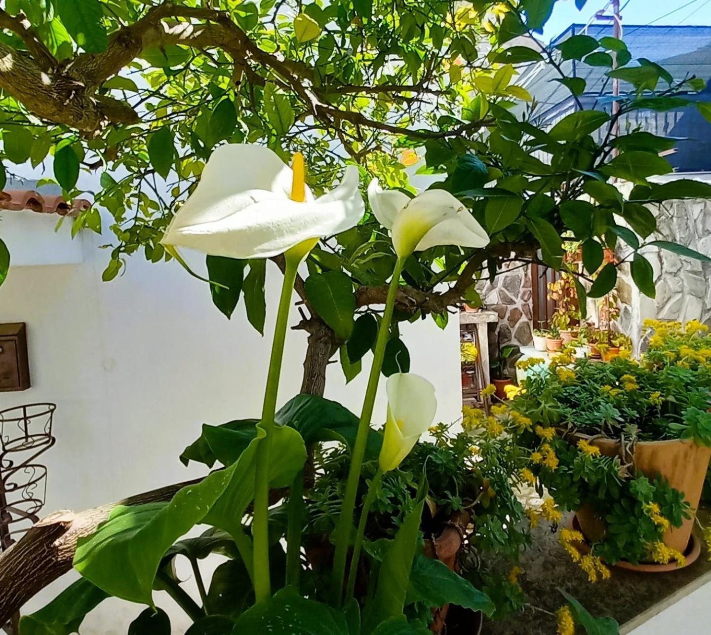 Apartments Donda Split Extérieur photo